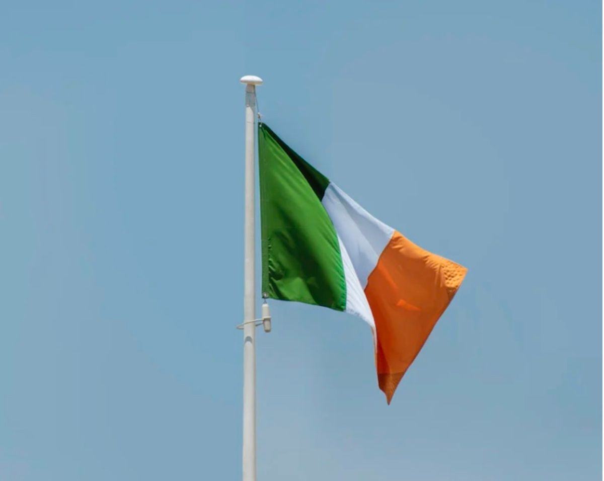 Украинцев в Ирландии поселят в конном центре Украинцев в Ирландии поселят в конном центре