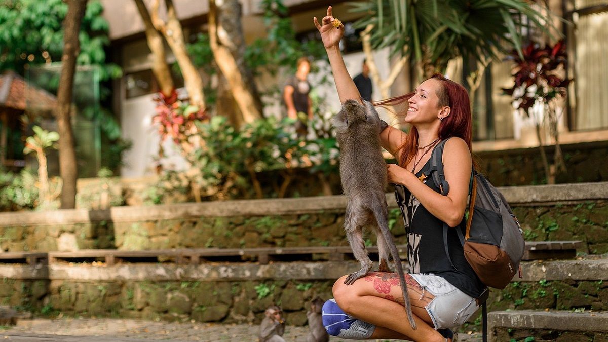 Власти острова будут внимательно следить за поведением иностранцев Власти острова будут внимательно следить за поведением иностранцев