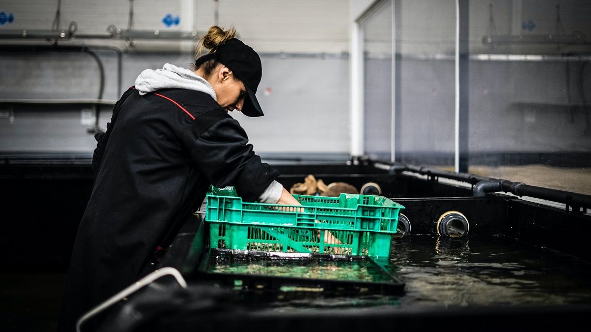 Больше всего за час работы платят в Норвегии Больше всего за час работы платят в Норвегии