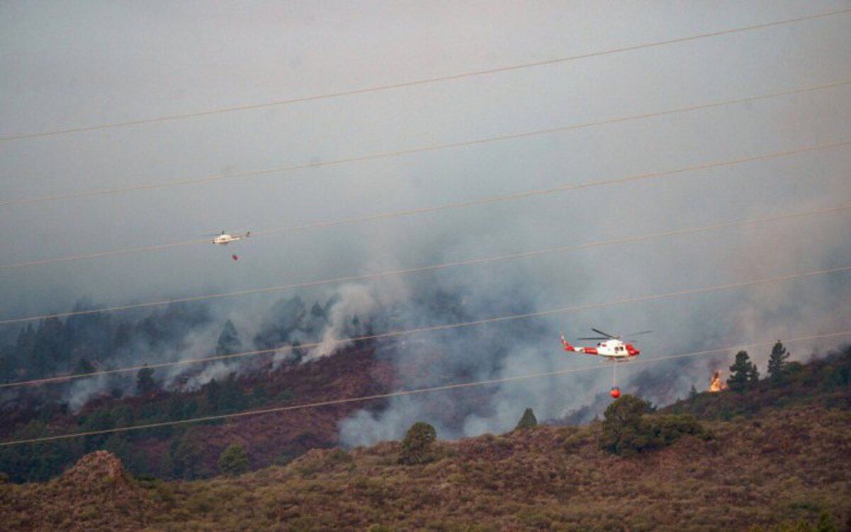 На Тенерифе вспыхнул лесной пожар