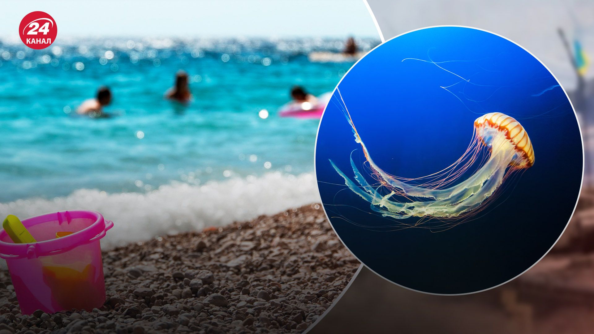 "Светящиеся медузы" – красивые, но опасные "Светящиеся медузы" – красивые, но опасные