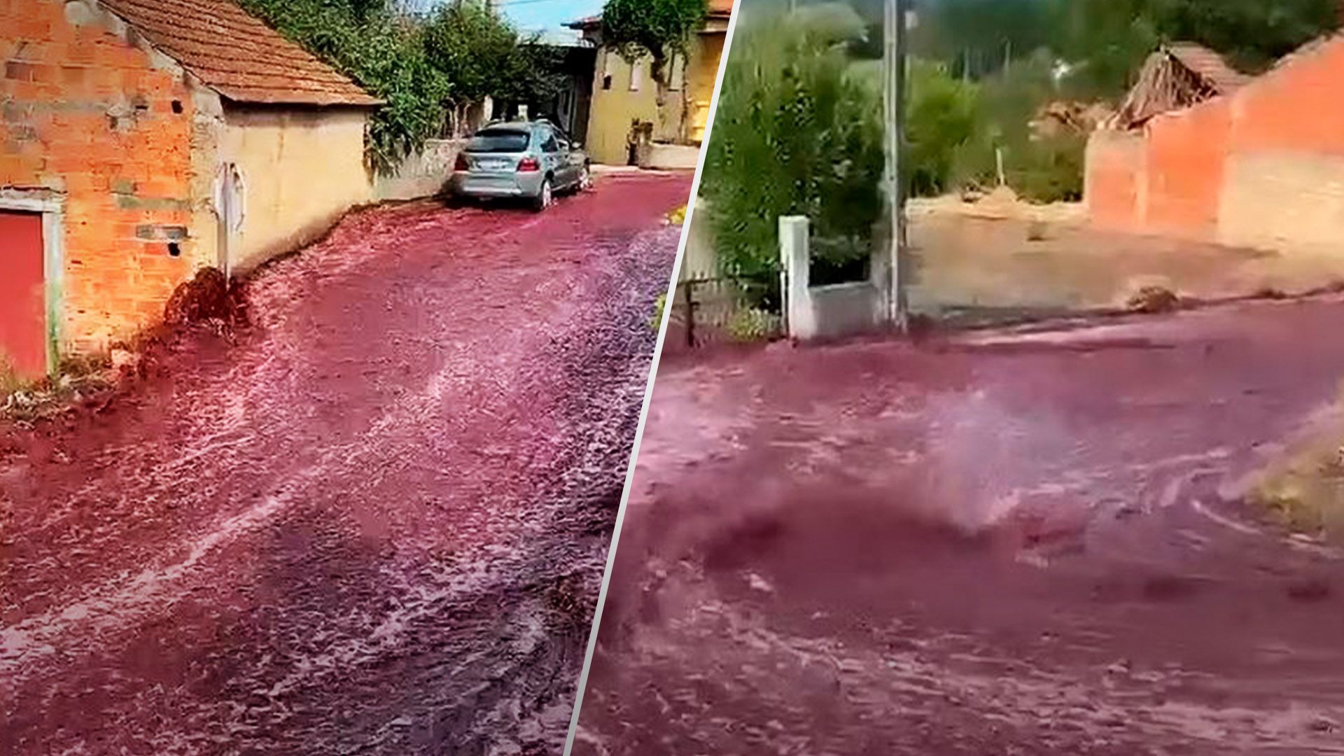 Река из вина в Португалии