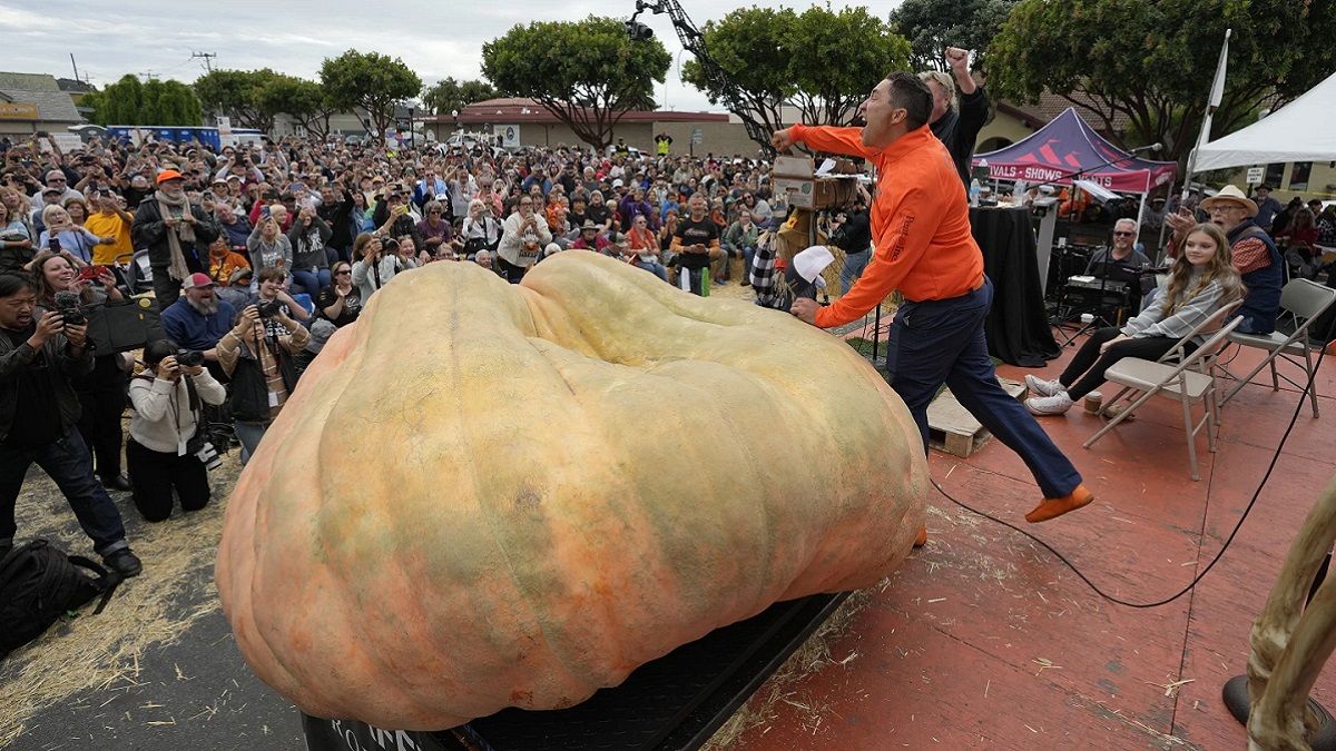 На фестивалі в Каліфорнії нагородили найбільший гарбуз