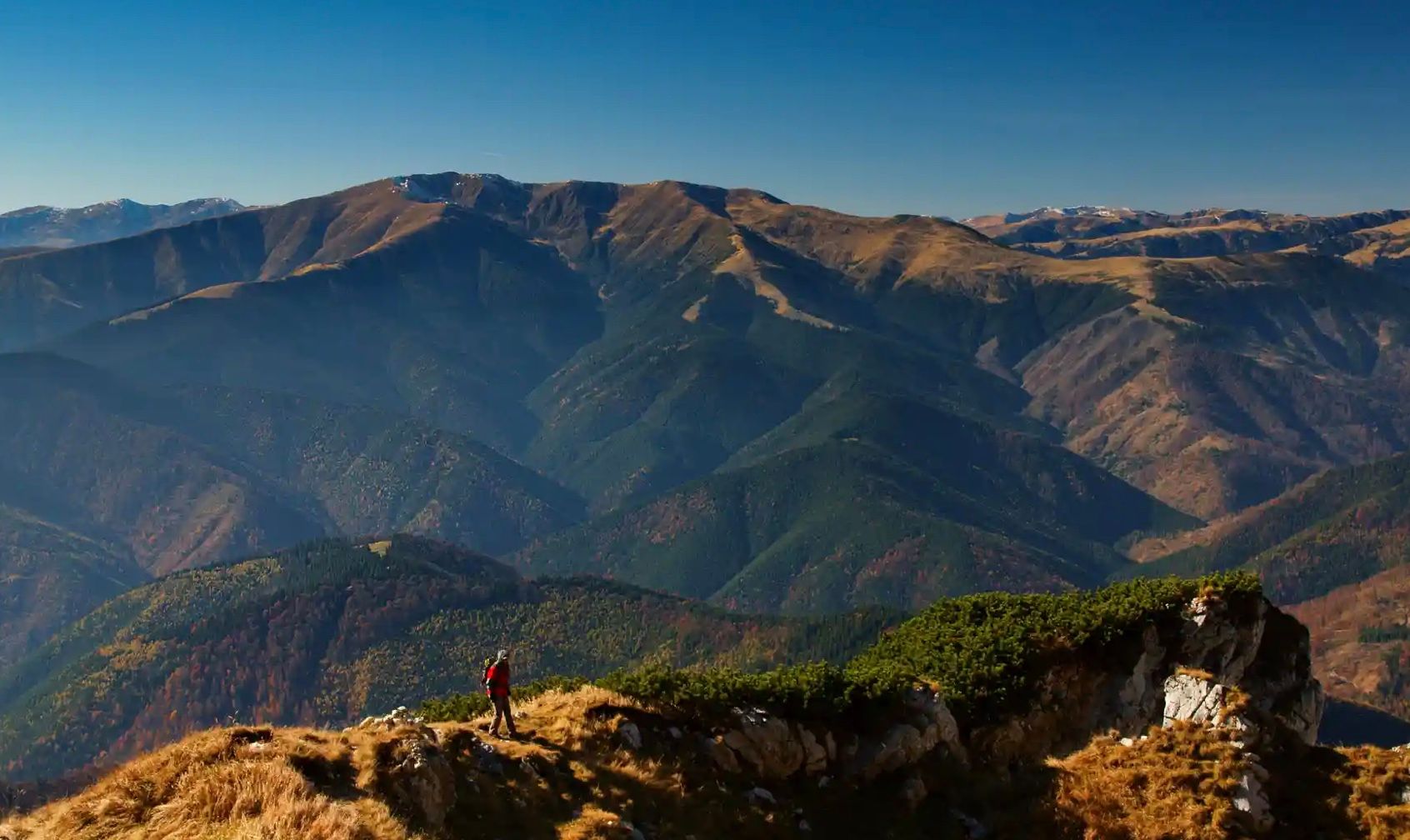 У Румунії створюють найбільший в Європі заповідник У Румунії створюють найбільший в Європі заповідник