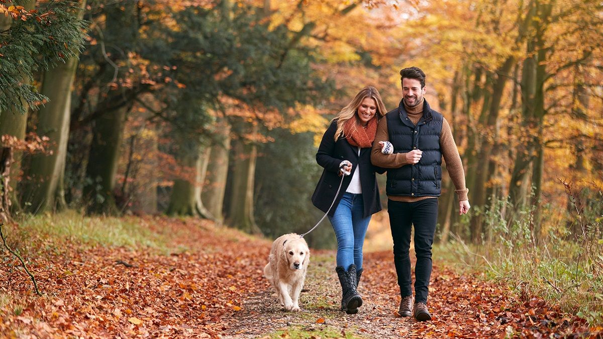 Погода у листопаді ще дозволяє комфортно відпочити на свіжому повітрі Погода у листопаді ще дозволяє комфортно відпочити на свіжому повітрі