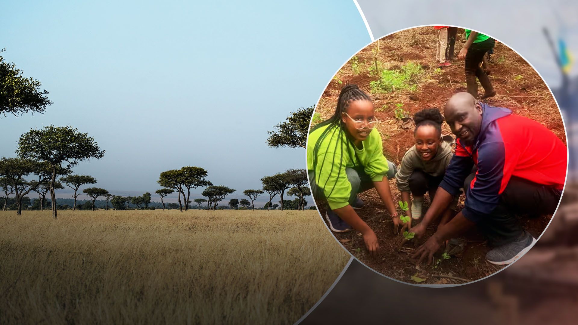 Кенійці садили дерева родинами Кенійці садили дерева родинами