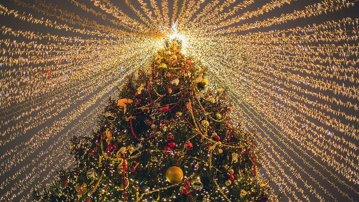 Новорічні ялинки в Європі Новорічні ялинки в Європі