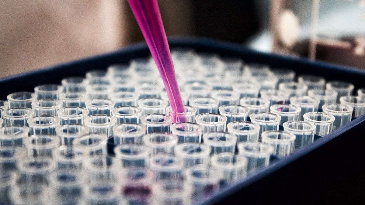 Сдать образцы можно во многих городах Европы Сдать образцы можно во многих городах Европы