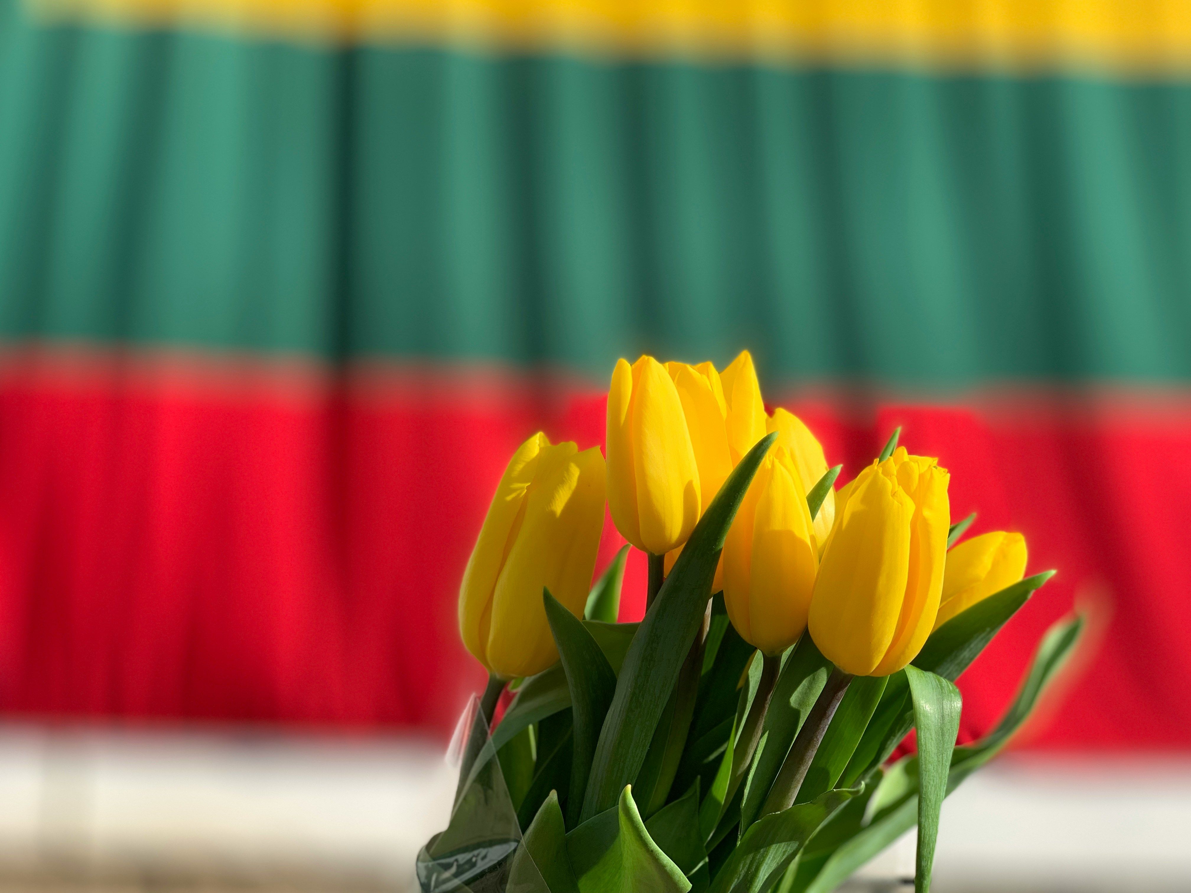 Литва може надати українським біженцям додатковий рік для вивчення литовської