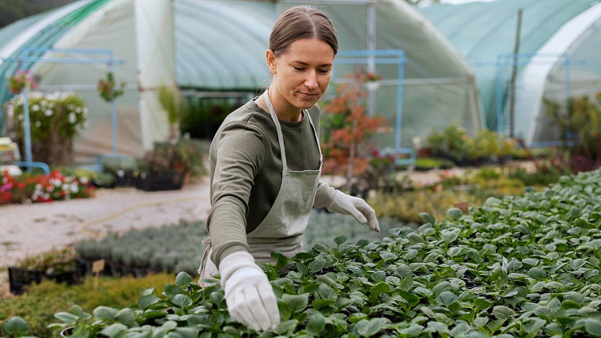 Українці в Нідерландах найчастіше зайняті у галузі сільського господарства