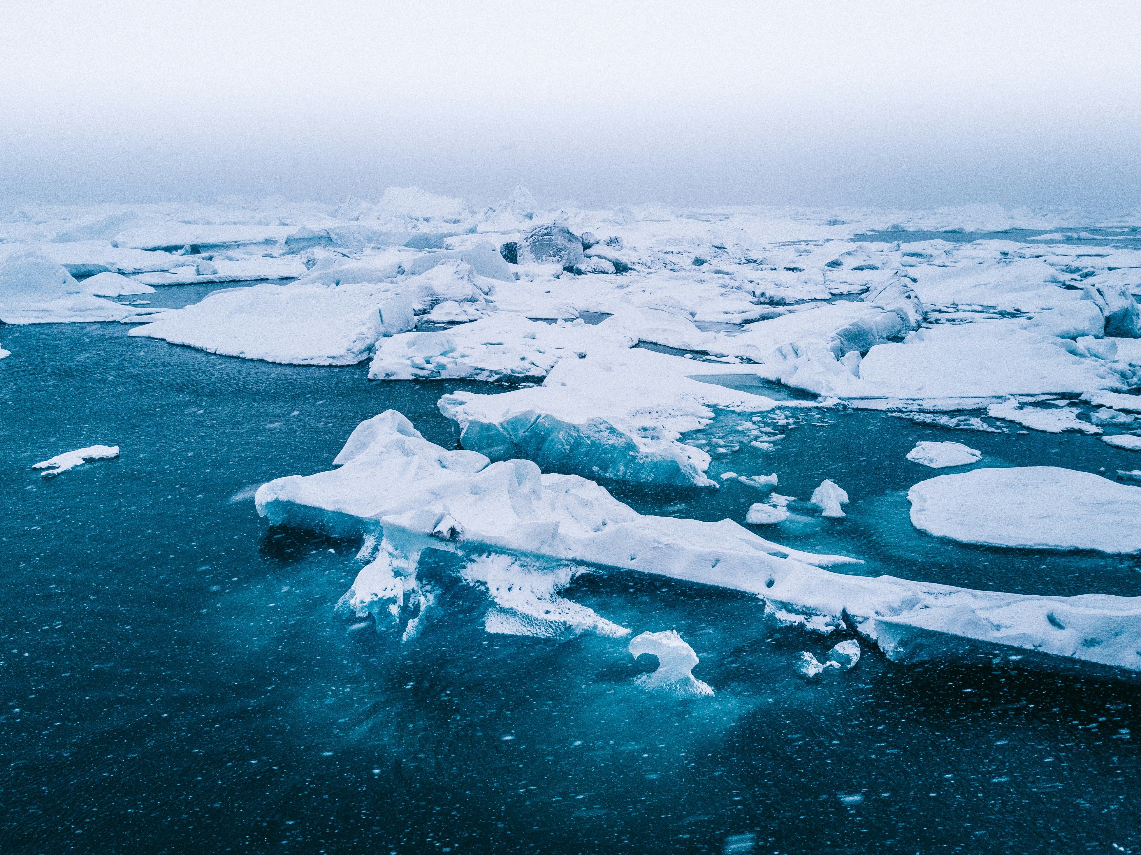 Арктика может потерять свой ледяной покров в течение десятилетия