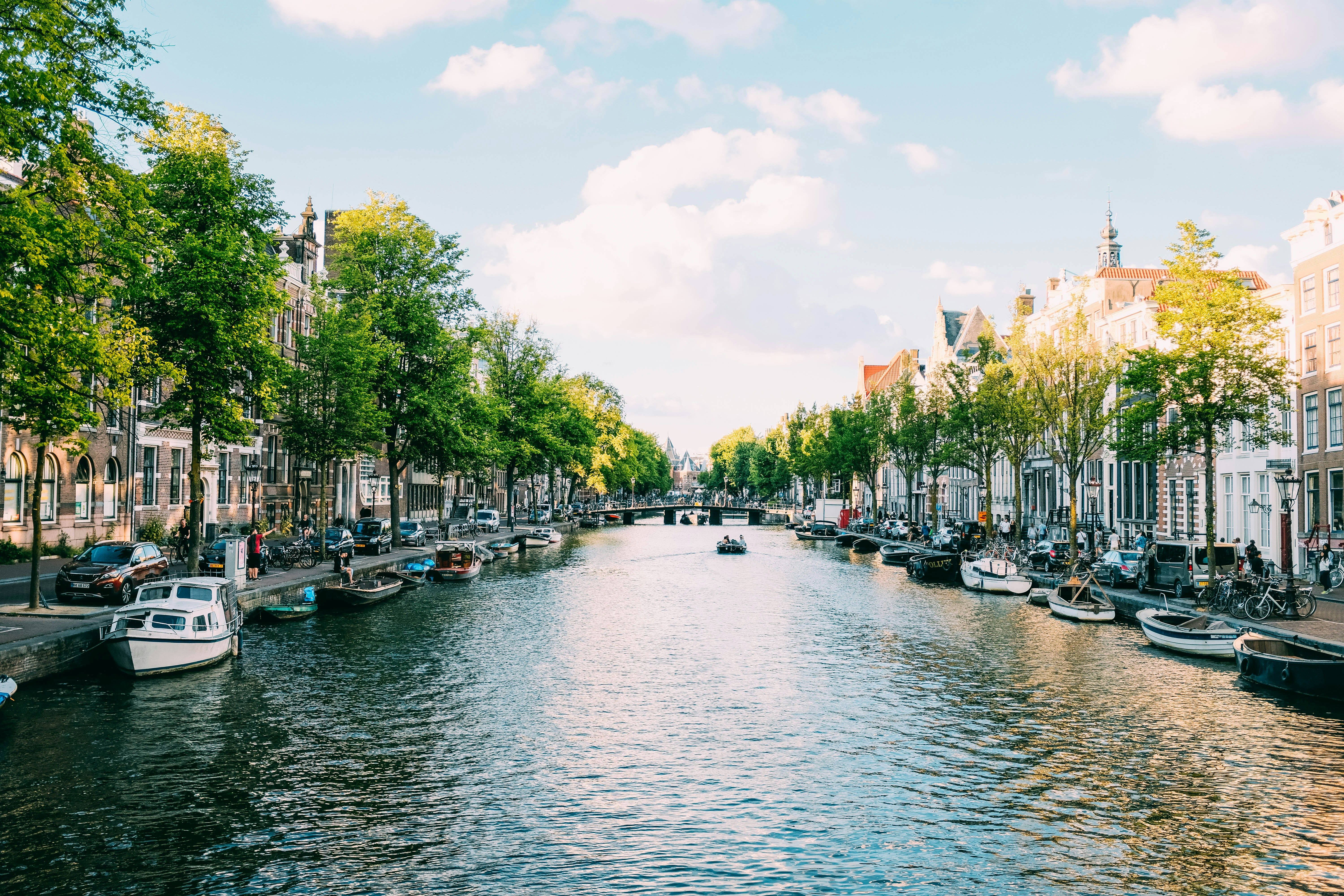 Які правила в'їзду та проживання у Нідерландах в 2024 році
