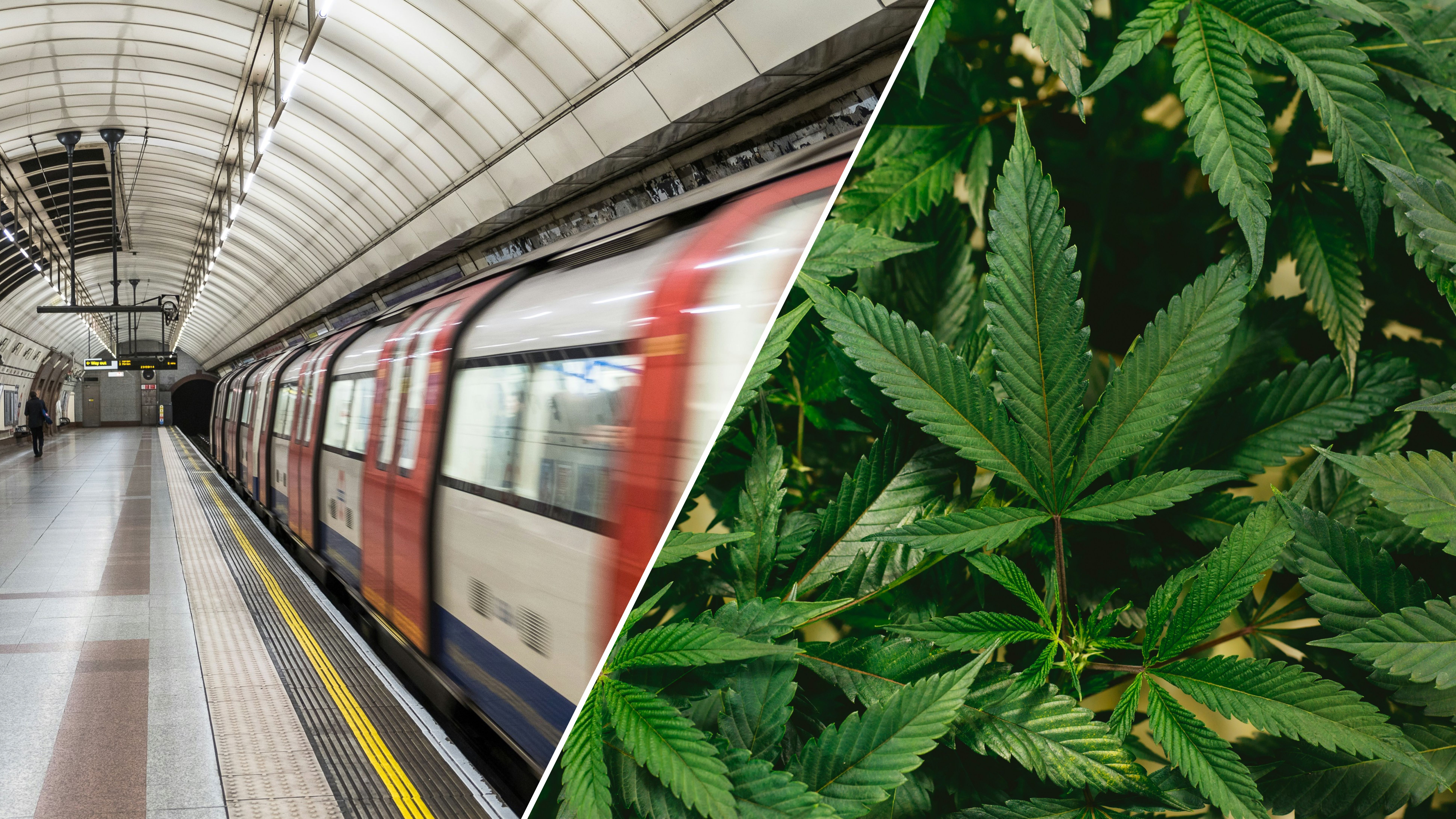 На німецьких вокзалах куріння марихуани буде заборонено На німецьких вокзалах куріння марихуани буде заборонено