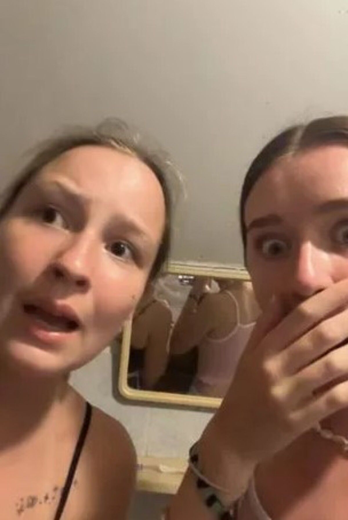 Туристки орендували номер, у якому були кобра та 2000 метеликів Туристки орендували номер, у якому були кобра та 2000 метеликів