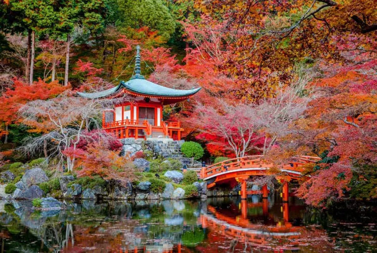 Названы страны мира с лучшими ботсадами и парками Названы страны мира с лучшими ботсадами и парками