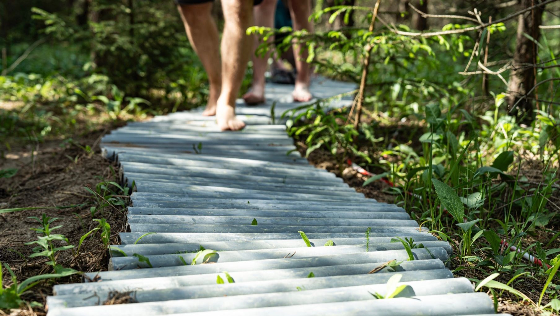 Неподалік Тракаю відкриють найдовшу босоногу стежку Неподалік Тракаю відкриють найдовшу босоногу стежку
